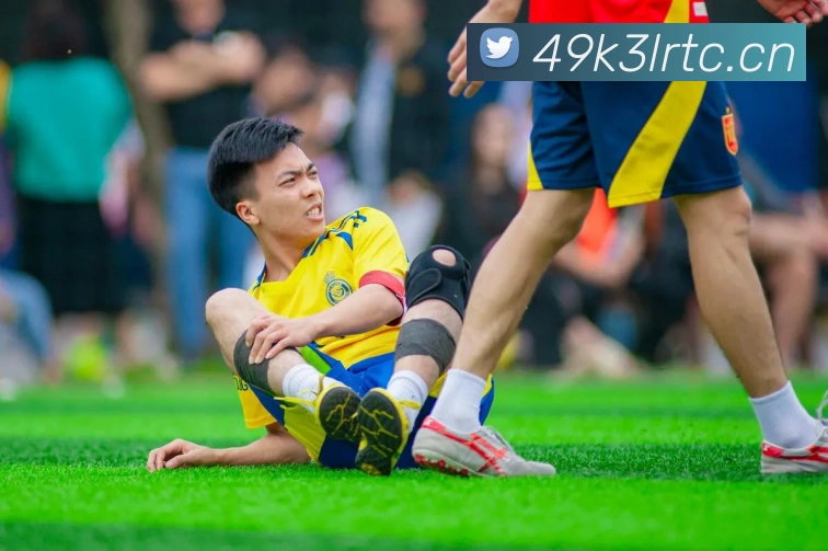 mksport体育app官网入口发展历程